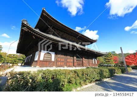 【京都府】晴天の建仁寺の法堂と紅葉 134558417