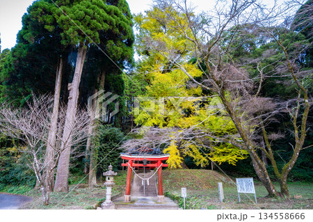 鷹屋神社とイチョウ(霧島市) 鷹屋神社とイチョウ(霧島市) 134558666