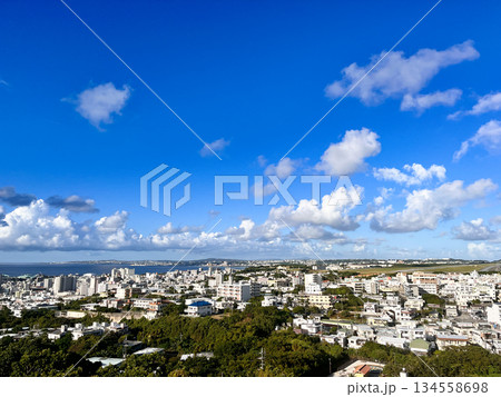 沖縄県宜野湾市の市街地と青空　住宅街と海が広がる都市風景 134558698