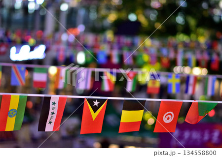 Colorful International Flags at Outdoor Festival Colorful International Flags at Outdoor Festival 134558800