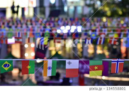 Colorful International Flags at Outdoor Festival Colorful International Flags at Outdoor Festival 134558801