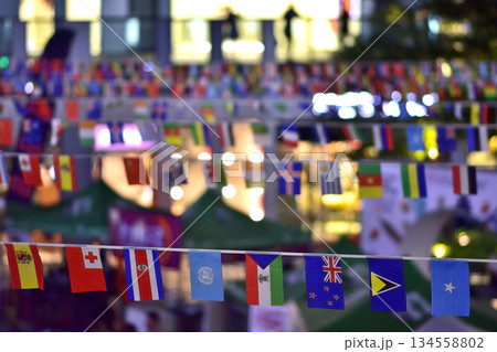 Colorful International Flags at Outdoor Festival Colorful International Flags at Outdoor Festival 134558802