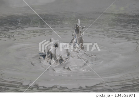 大地の芸術－別府・坊主地獄 134558971