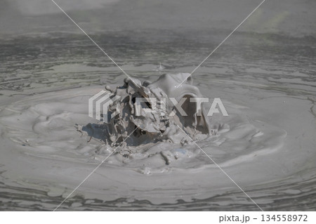 大地の芸術－別府・坊主地獄 134558972