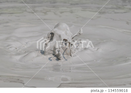 大地の芸術－別府・坊主地獄 134559018