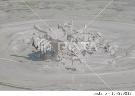 大地の芸術-別府・坊主地獄 大地の芸術-別府・坊主地獄 134559032