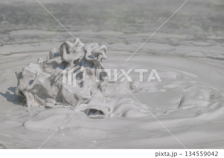 大地の芸術-別府・坊主地獄 大地の芸術-別府・坊主地獄 134559042