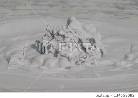 大地の芸術－別府・坊主地獄 134559092