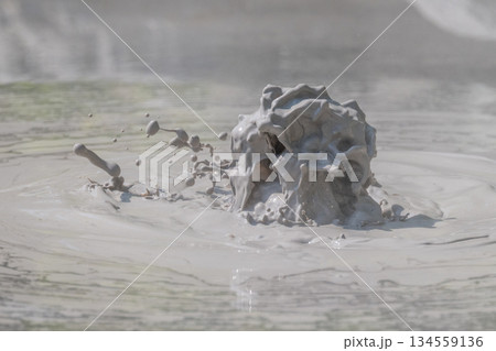 大地の芸術－別府・坊主地獄 134559136