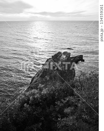Sandanbeki Rock Cliff on Pacific ocean coast in Shirahama Town in Wakayama prefecture, Japan 134559161