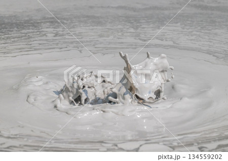 大地の芸術－別府・坊主地獄 134559202