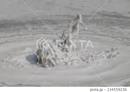 大地の芸術－別府・坊主地獄 134559236