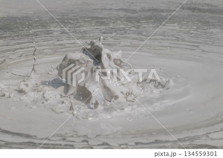大地の芸術－別府・坊主地獄 134559301