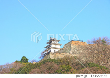 香川県丸亀市、丸亀城の風景 香川県丸亀市、丸亀城の風景 134559336