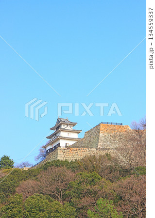 香川県丸亀市、丸亀城の風景 香川県丸亀市、丸亀城の風景 134559337