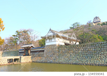 香川県丸亀市、丸亀城の風景 134559341