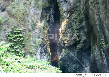 岩壁に囲まれた自然の洞窟入口と緑の植物 134559364