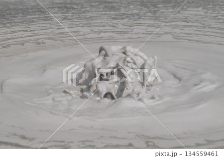 大地の芸術－別府・坊主地獄 134559461