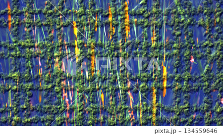 Green lines spots on blue with reeds 134559646