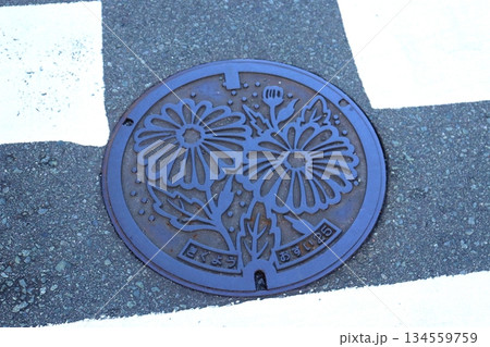 菊陽町 熊本県 菊池郡 マンホール 下水道 菊 キク 菊陽町 熊本県 菊池郡 マンホール 下水道 菊 キク 134559759