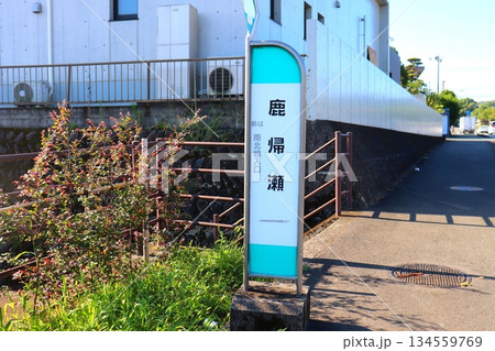 鹿帰瀬 バス停 熊本県 熊本市 九州産交バス 鹿帰瀬 バス停 熊本県 熊本市 九州産交バス 134559769