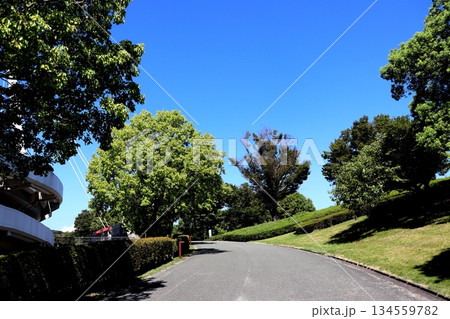 パークドーム熊本　えがお健康スタジアム　熊本県　熊本市 134559782