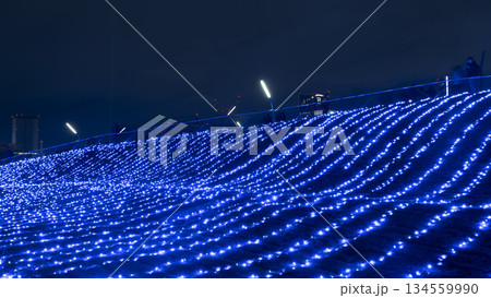 大さん橋から見たみなとみらいの夜景 大さん橋から見たみなとみらいの夜景 134559990