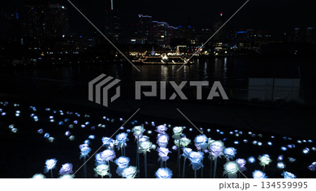 大さん橋から見たみなとみらいの夜景 134559995