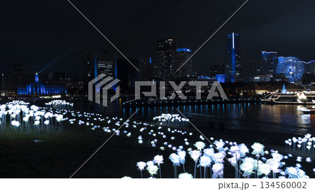 大さん橋から見たみなとみらいの夜景 134560002