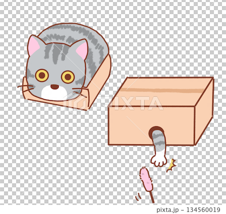 Cardboard and cat 134560019