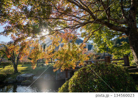 三重県　紀北町　種まき権兵衛の里　色づく紅葉と日本庭園 134560023