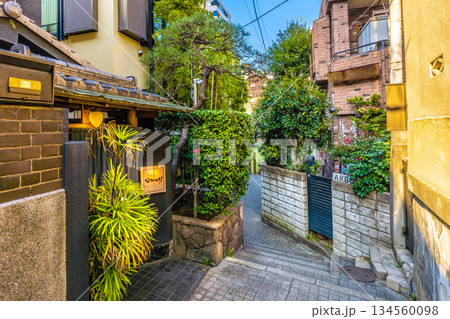 日本の東京都市景観 伝統とモダンが交差する…情緒漂う街。情緒あふれる神楽坂。兵庫横丁などを望む 134560098