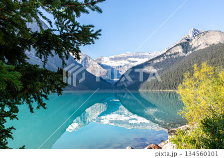 モレーン湖のターコイズブルーの湖と山岳絶景 134560101