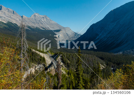アイスフィールドパークウェイのビューポイントから望む雄大な山岳風景 アイスフィールドパークウェイのビューポイントから望む雄大な山岳風景 134560106
