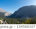 アイスフィールドパークウェイのビューポイントから望む雄大な山岳風景 134560107