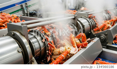 In a seafood processing facility, rollers...のイラスト素材 [134560186] - PIXTA