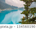 エメラルド色に輝くモレーン湖と針葉樹の自然風景 134560190