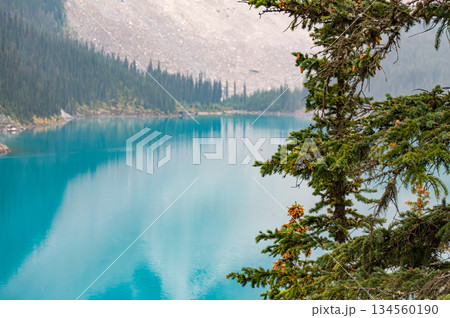 エメラルド色に輝くモレーン湖と針葉樹の自然風景 134560190