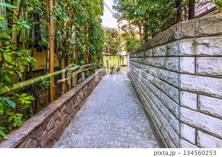 日本の東京都市景観 伝統とモダンが交差する…情緒漂う街。情緒あふれる神楽坂。兵庫横丁などを望む 134560253