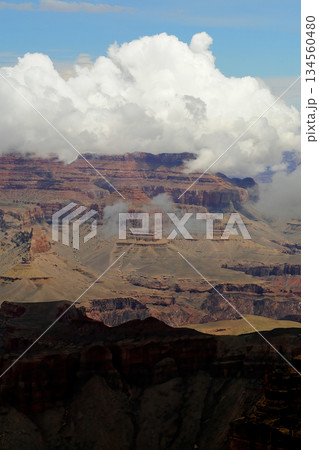 Cloudy Day At The Grand Canyon Arizona Cloudy Day At The Grand Canyon Arizona 134560480