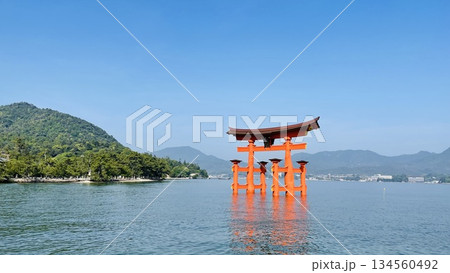 海に浮かぶ鳥居 厳島神社 海に浮かぶ鳥居 厳島神社 134560492