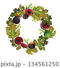 A wreath of fig leaves and fruits on a white background. The illustration is hand-drawn in watercolor. It is suitable for printing products, packaging, souvenirs, and postcards. 134561250