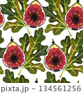 Seamless pattern with a fig in the cut and fig tree leaves on a white background. The illustrations are hand-drawn in watercolor. Suitable for printing on fabric and paper. 134561256