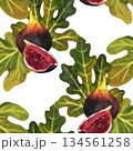 Seamless pattern with fig tree leaves and fruits and a slice of fig on a white background. Hand-drawn in watercolor. Suitable for printing on fabric and paper. 134561258