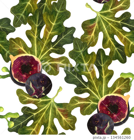 Seamless pattern with fig fruits and leaves on a white background. The illustrations are hand-drawn in watercolor. Suitable for printing on fabric and paper. 134561260