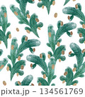 Seamless pattern with snow-covered spruce branches on a white background. Hand-drawn with paints and pencils. Suitable for printing on fabric and paper. 134561769