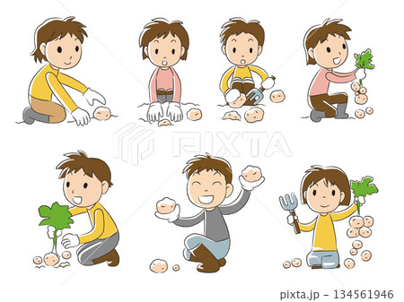 じゃがいも堀り体験 134561946