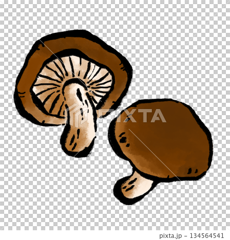 香菇 134564541