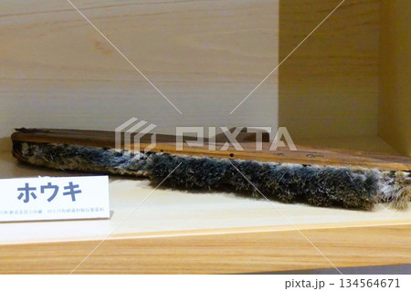 ほうき　箒　和紙　道の駅おがわまち　伝統工芸施設 134564671