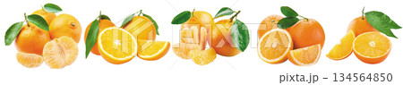 Panoramic set of fresh mandarins and oranges with green leaves and peeled segments on white Panoramic set of fresh mandarins and oranges with green leaves and peeled segments on white 134564850